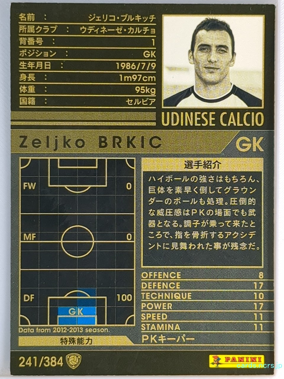 Panini WCCF Football WCCF/2012-2013-241/384 N Zeljko BRKIC Trading Card EX