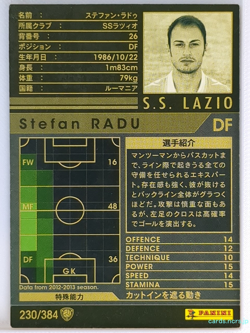 Panini WCCF Football WCCF/2012-2013-230/384 N Stefan Radu Trading Card EX