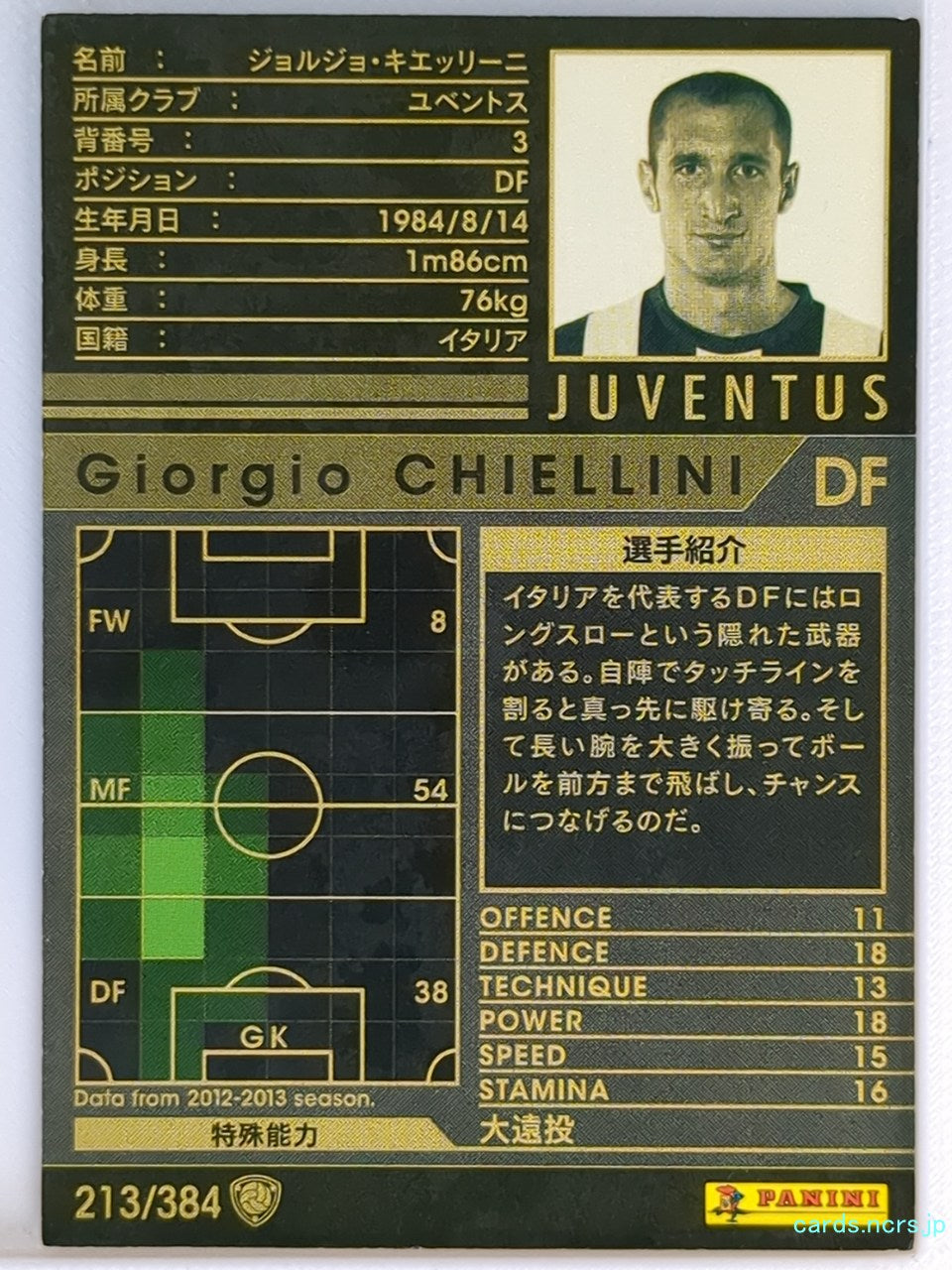 Panini WCCF Football WCCF/2012-2013-213/384 N Giorgio Chiellini Trading Card EX