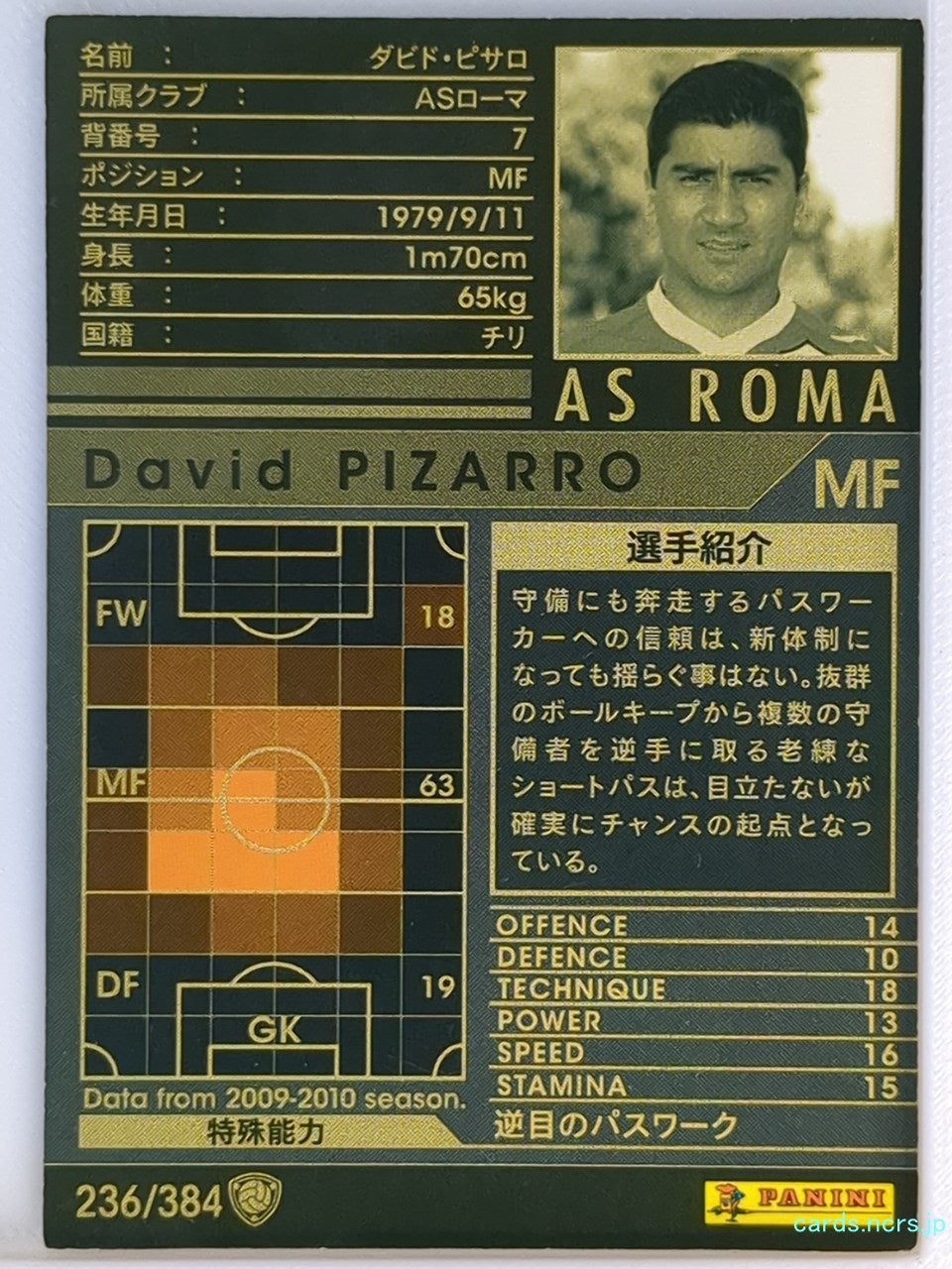 Panini WCCF Football WCCF/2009-2010-236/384 N David PIZARRO Trading Card EX