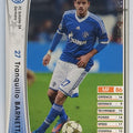 Panini WCCF Football WCCF/2012-2013-136/384 N Tranquillo Barnetta Trading Card EX