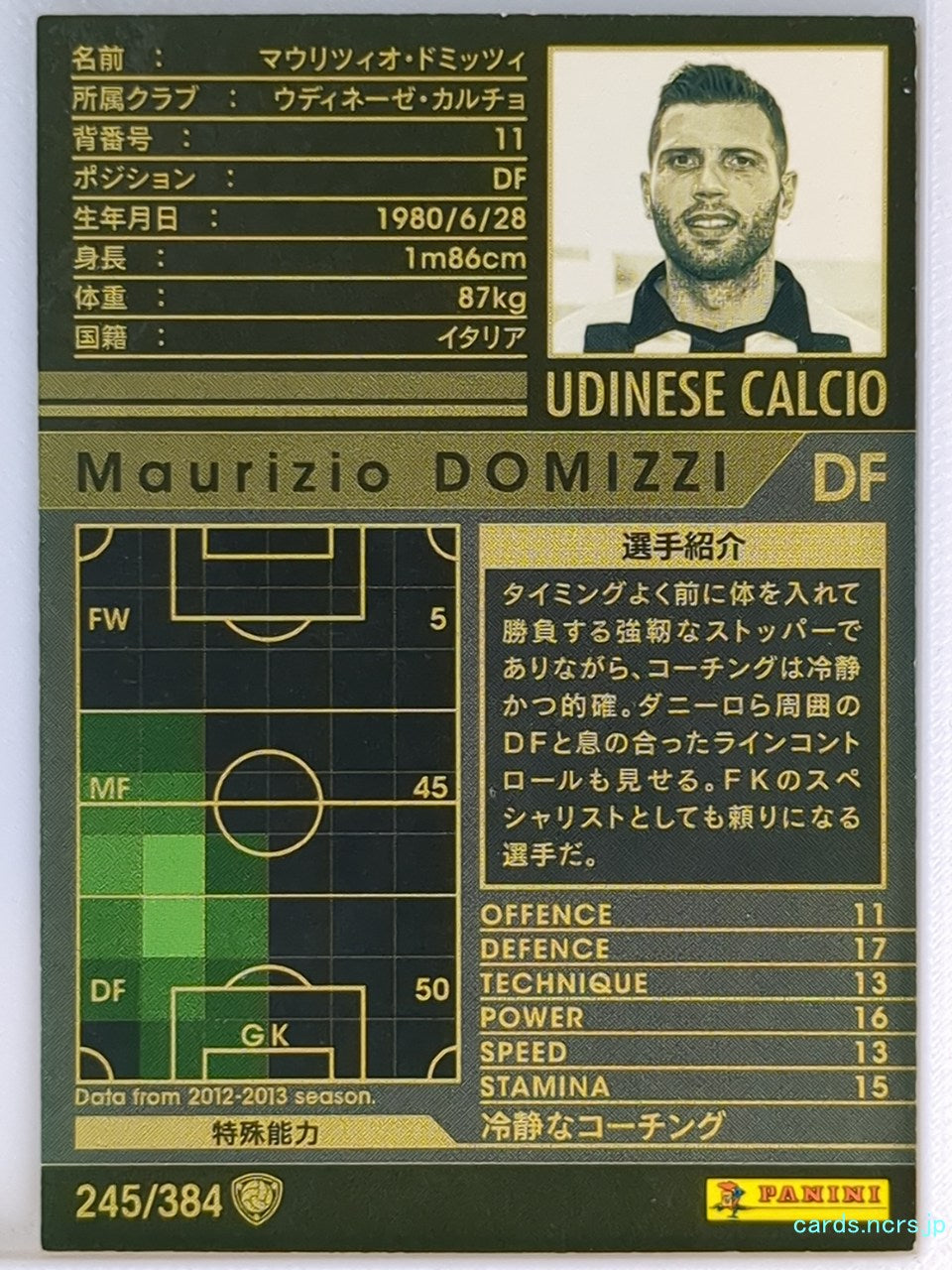 Panini WCCF Football WCCF/2012-2013-245/384 N Maurizio Domizzi Trading Card NM