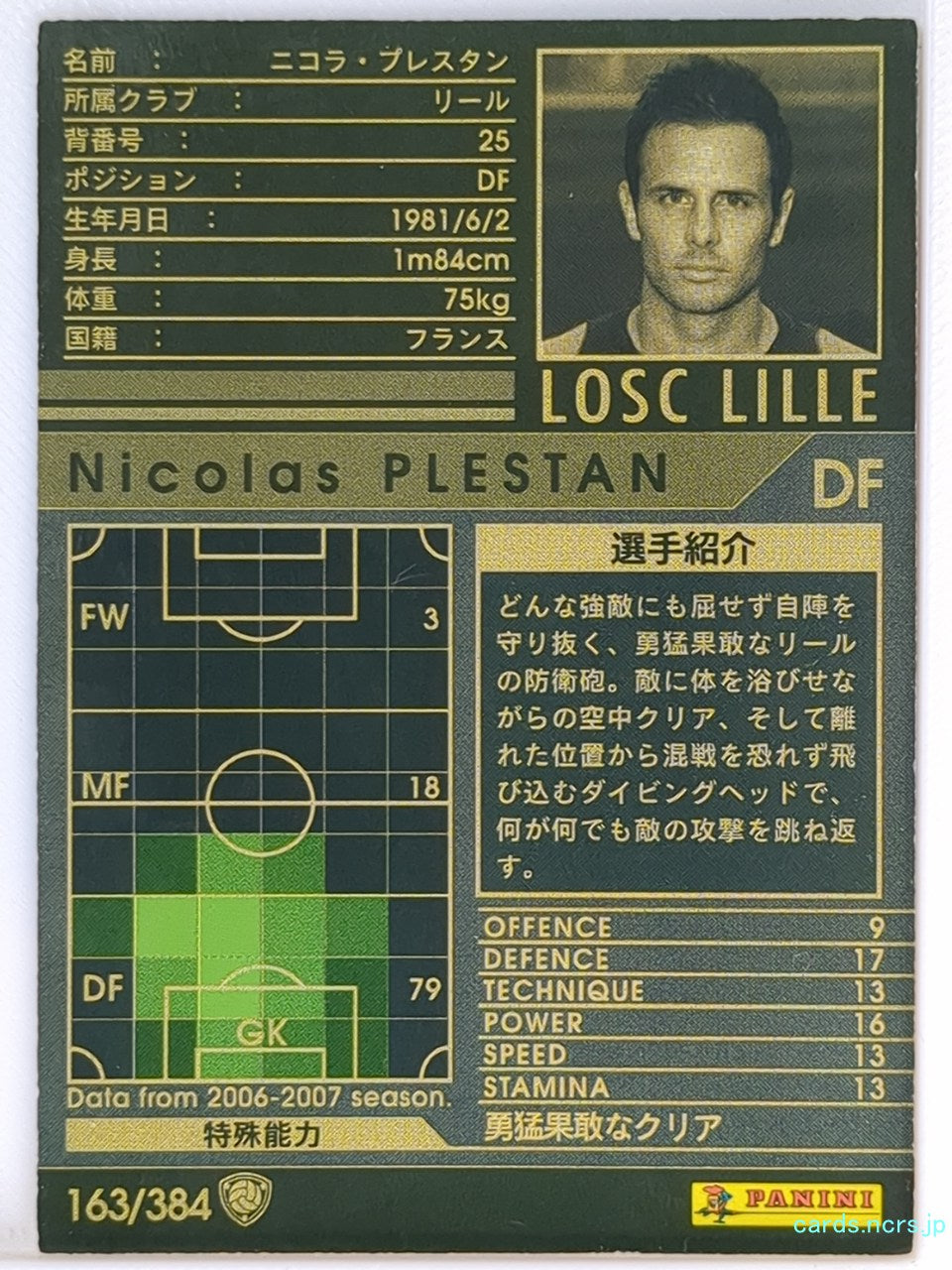 Panini WCCF Football WCCF/2006-2007-163/384 N Nicolas PLESTAN Trading Card NM