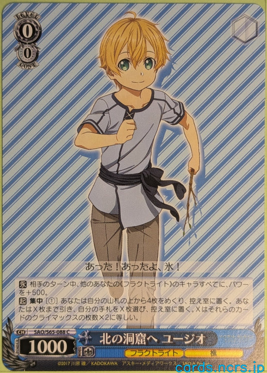 Weiss Schwarz Sword Art Online SAO/S65-088C C Eugeo Trading Card NM