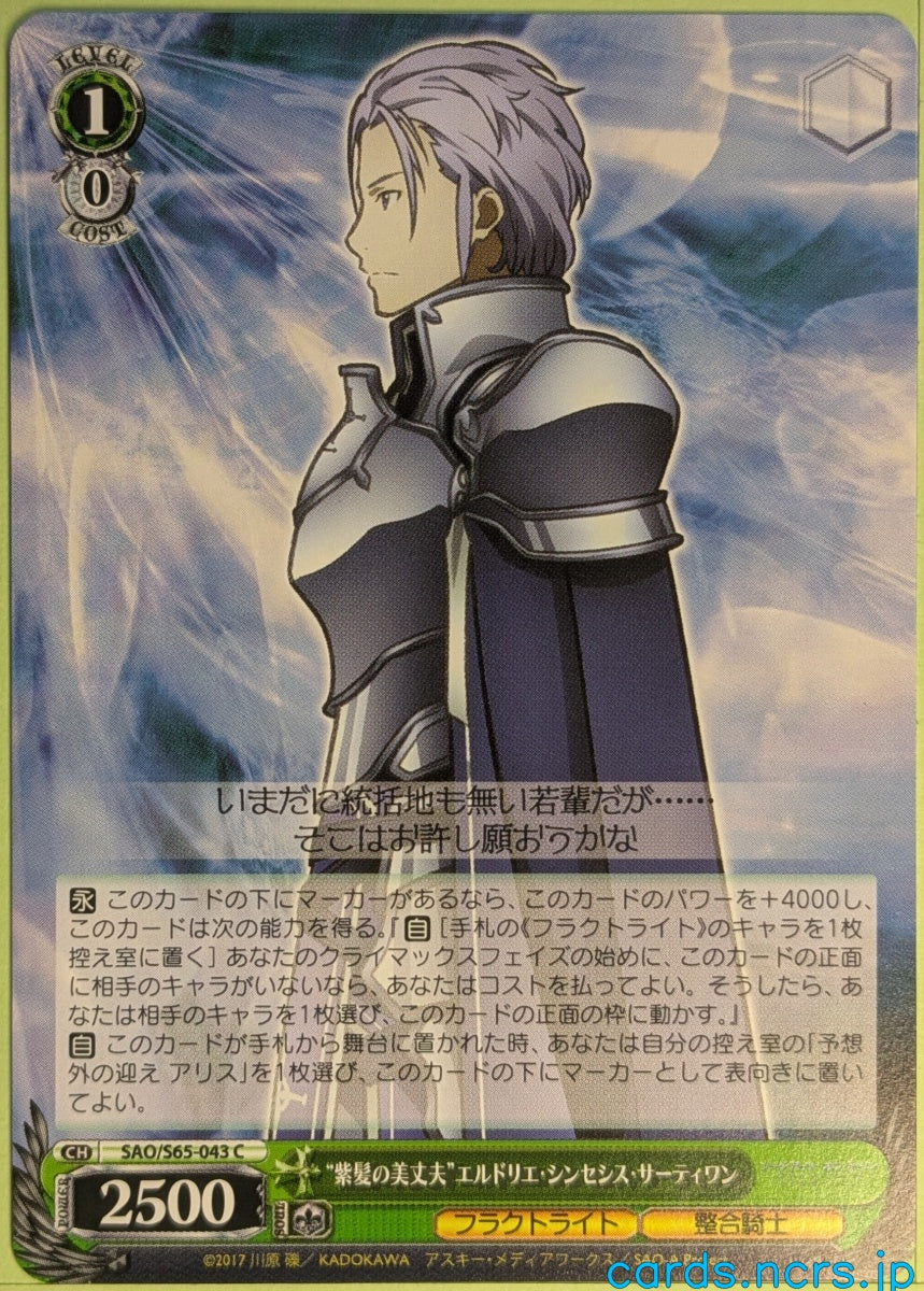 Weiss Schwarz Sword Art Online SAO/S65-043C C Eldrie Trading Card NM