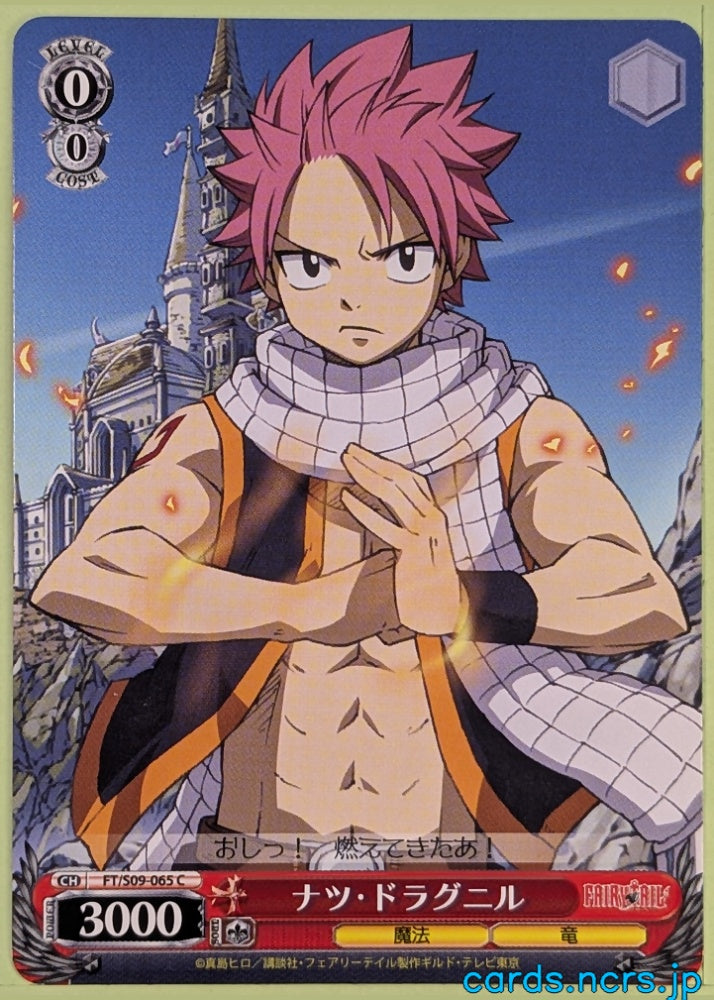 Weiss Schwarz Fairy Tail FT/S09-065C C Natsu Dragneel Trading Card NM