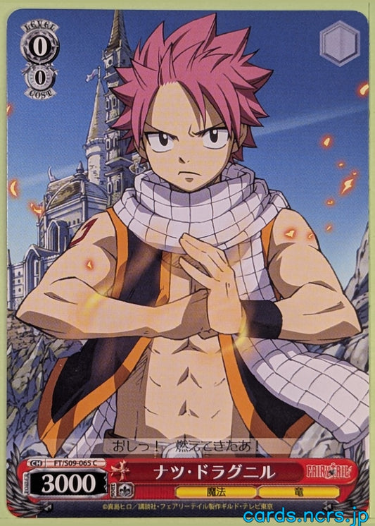 Weiss Schwarz Fairy Tail FT/S09-065C C Natsu Dragneel Trading Card NM