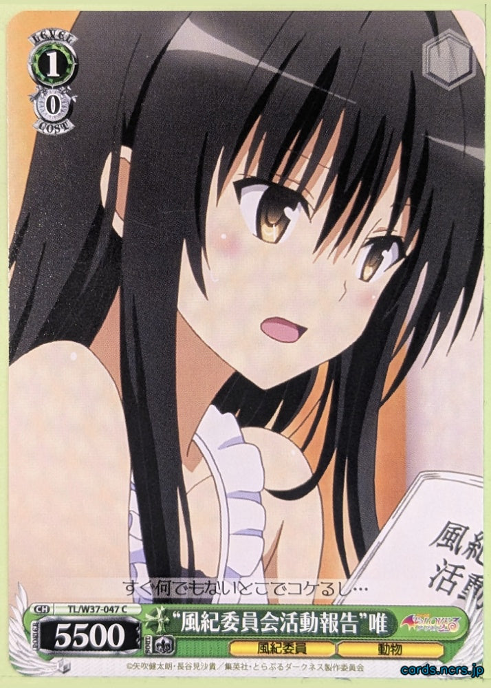 Weiss Schwarz To Love Ru TL/W37-047C C Yui Kotegawa Trading Card NM