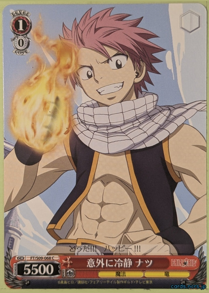 Weiss Schwarz Fairy Tail FT/S09-068C C Natsu Dragneel Trading Card NM
