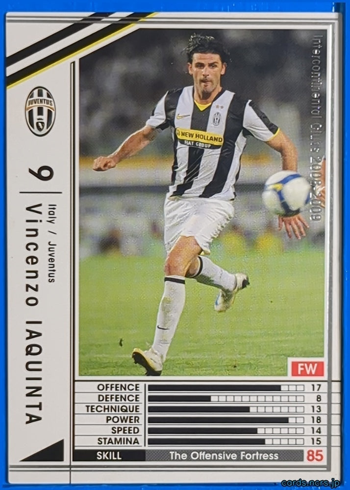 Panini WCCF Football WCCF/2008-2009-272/352 N Vincenzo Iaquinta Trading Card NM