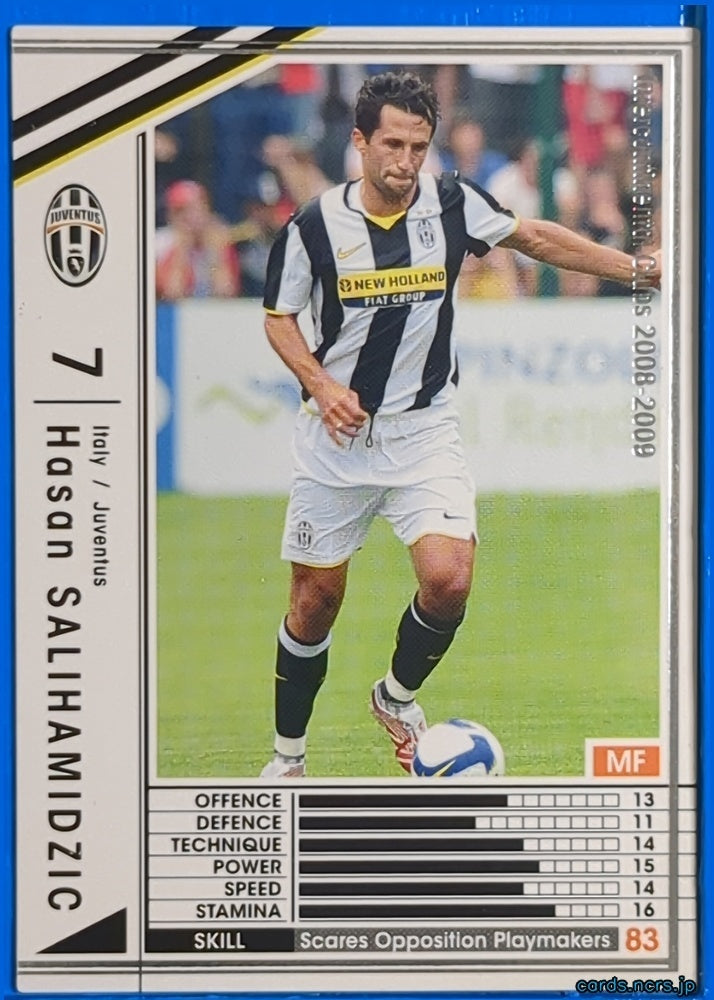Panini WCCF Football WCCF/2009-2010-268/352 N Hasan SALIHAMIDZIC Trading Card NM