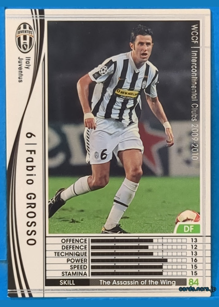 Panini WCCF Football WCCF/2009-2010-261/384 N Fabio Grosso Trading Card NM