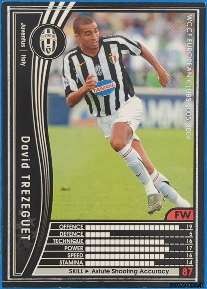 Panini WCCF Football WCCF/2005-2006-224/336 N David Trezeguet Trading Card NM