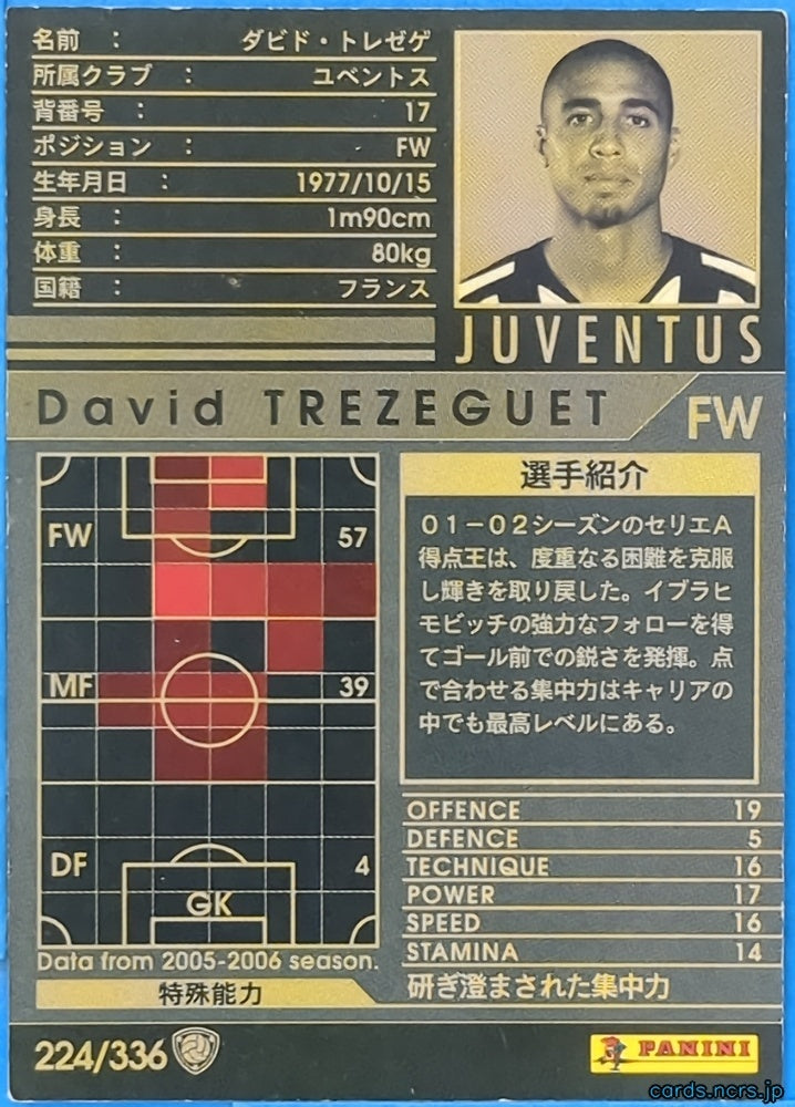 Panini WCCF Football WCCF/2005-2006-224/336 N David Trezeguet Trading Card NM