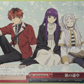 Weiss Schwarz Frieren SFN/S108-070CR CR Frieren Trading Card NM