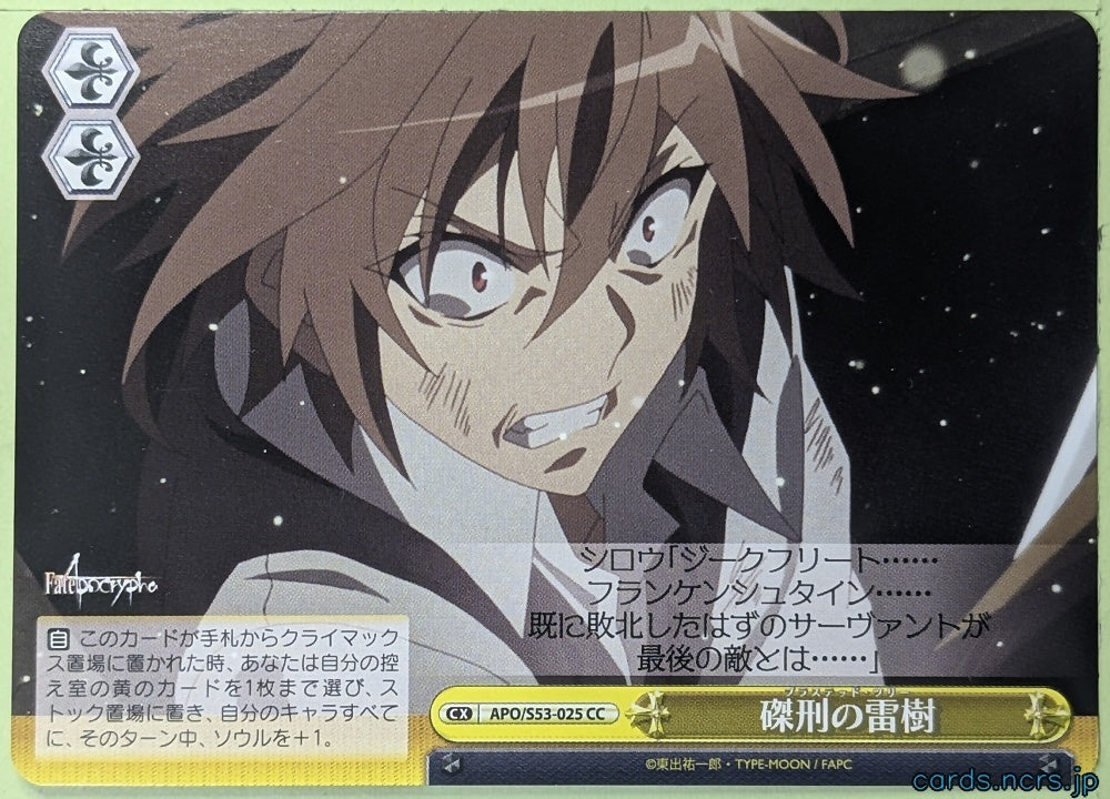 Weiss Schwarz Fate/Apocrypha APO/S53-025CC CC Shirou Kotomine Trading Card NM