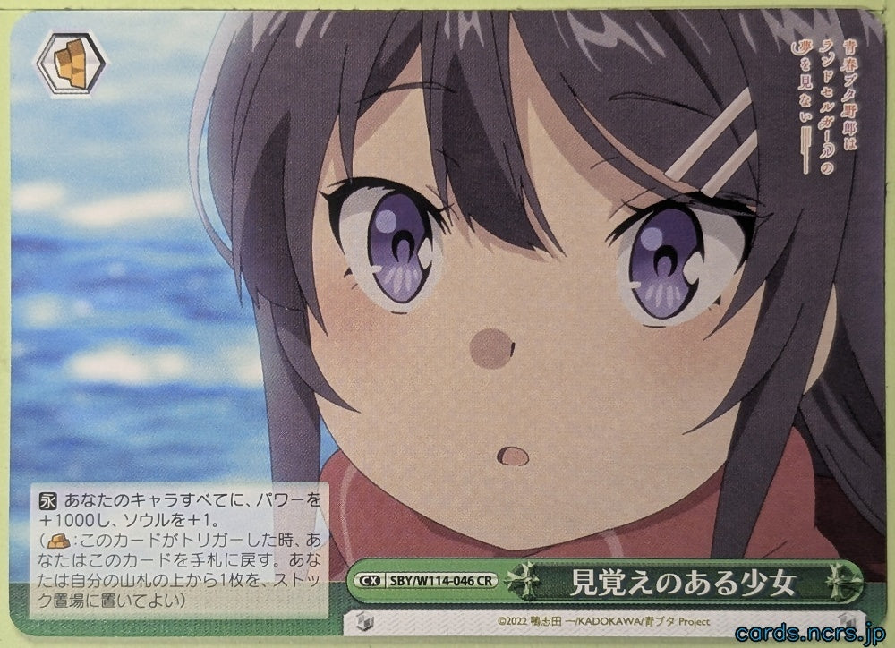 Weiss Schwarz Rascal Does Not Dream of Bunny Girl Senpai SBY/W114-046CR CR Trading Card NM