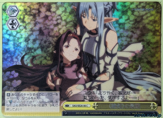 Weiss Schwarz Sword Art Online SAO/SE26-06C C Trading Card NM