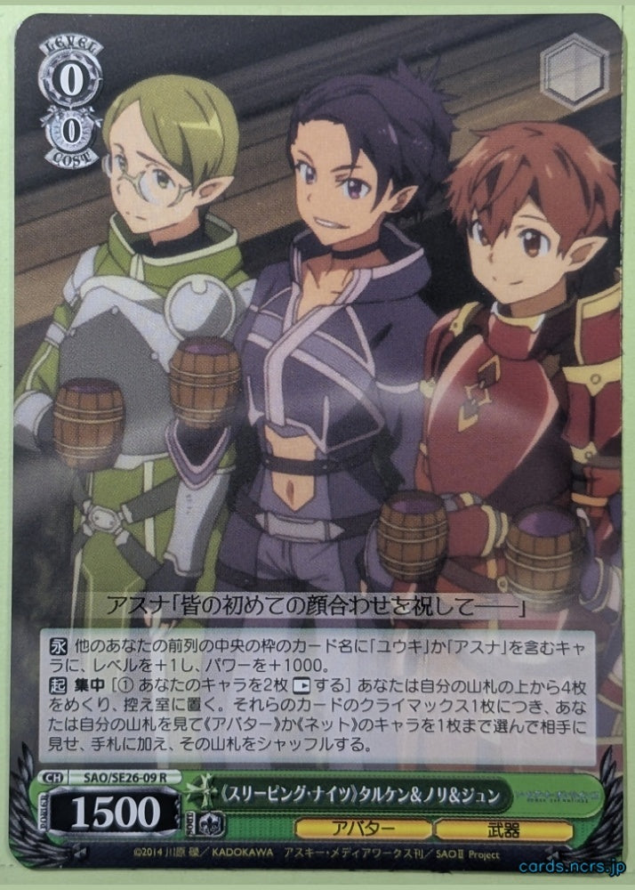Weiss Schwarz Sword Art Online SAO/SE26-09R R Nori Trading Card NM