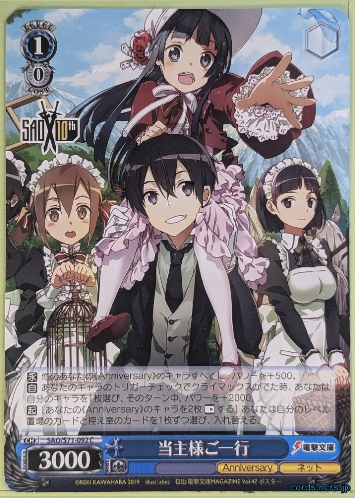Weiss Schwarz Sword Art Online SAO/S71-092C C Kirito Trading Card NM