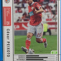 Panini WCCF Football WCCF/2010-2011-244/352 N César PEIXOTO Trading Card EX