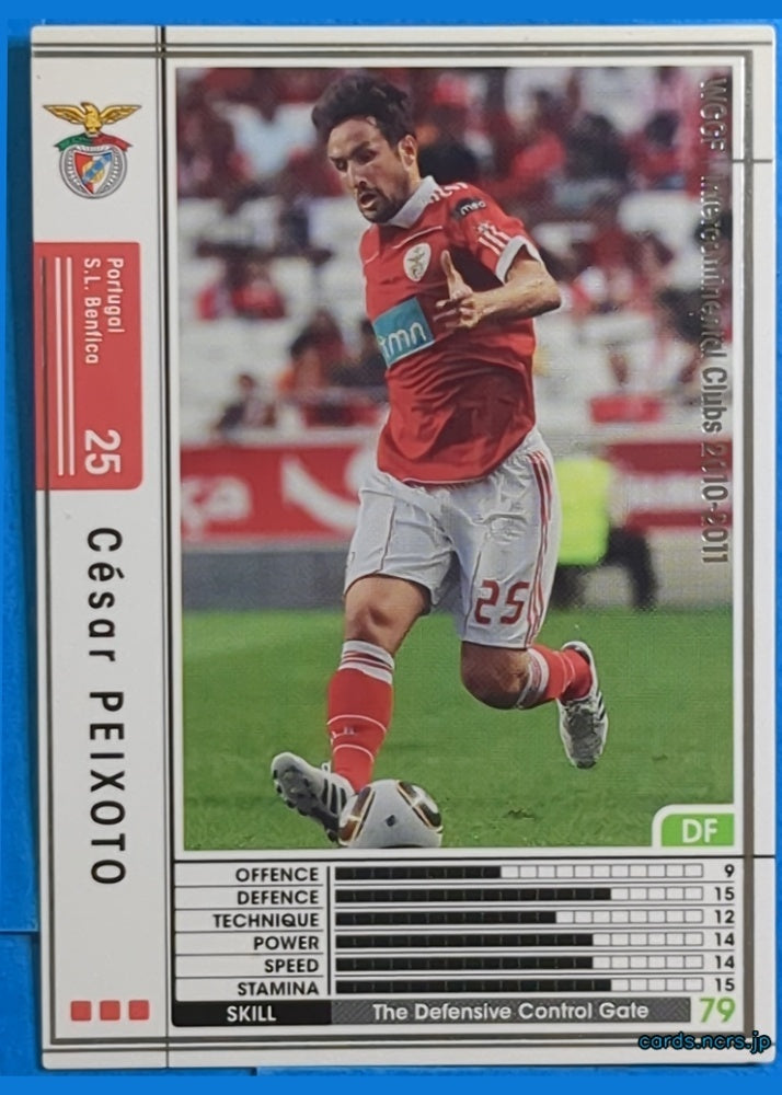 Panini WCCF Football WCCF/2010-2011-244/352 N César PEIXOTO Trading Card NM