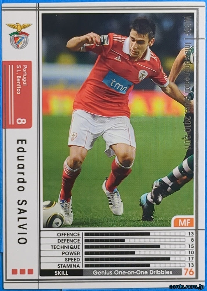 Panini WCCF Football WCCF/2010-2011-252/352 N Eduardo SALVIO Trading Card NM