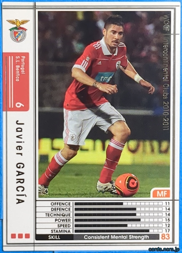 Panini WCCF Football WCCF/2010-2011-250/352 N Javier Garcia Trading Card NM