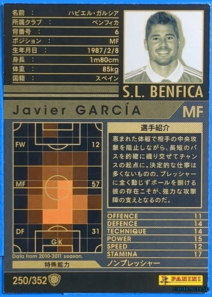 Panini WCCF Football WCCF/2010-2011-250/352 N Javier Garcia Trading Card NM