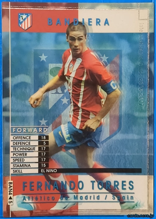 Panini WCCF Football WCCF/2006-2007-BAN4/5 N FERNANDO TORRES Trading Card NM