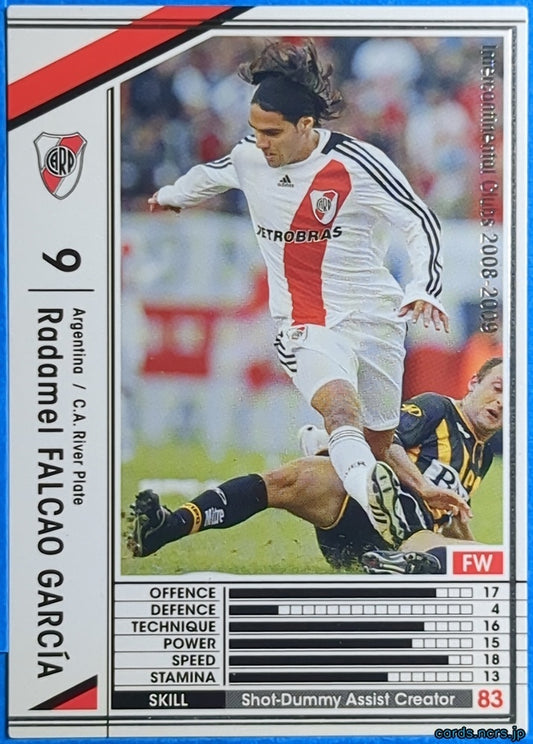 Panini WCCF Football WCCF/2008-2009-030/352 N Radamel Falcao García Trading Card NM