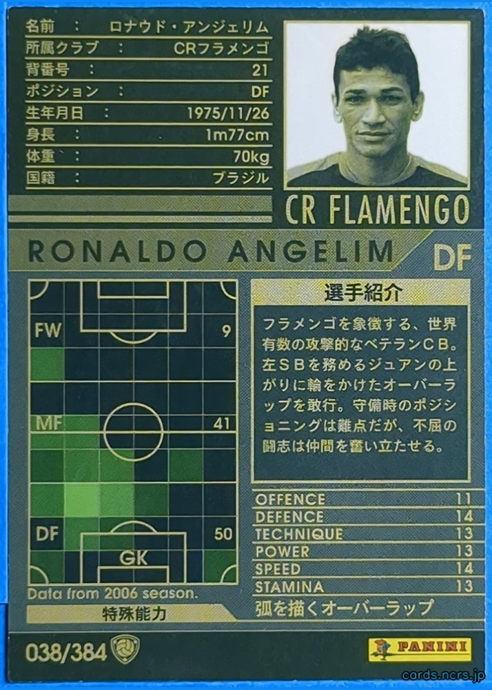 Panini WCCF Football WCCF/2006-2007-018/384 N RONALDO ANGELIM Trading Card NM