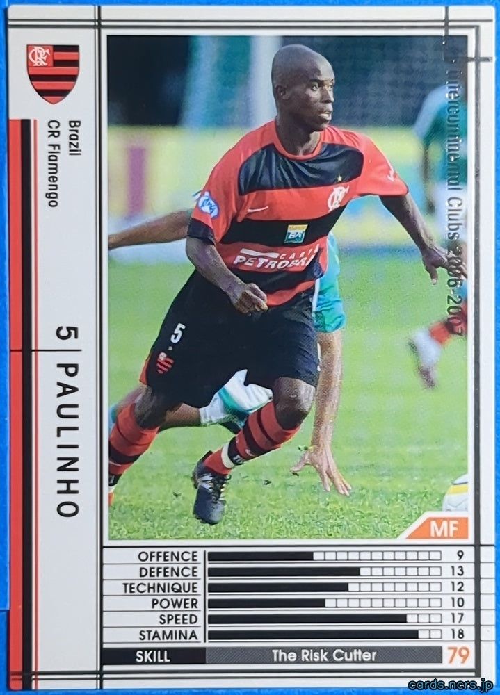 Panini WCCF Football WCCF/2006-2007-042/384 N Paulinho Trading Card NM