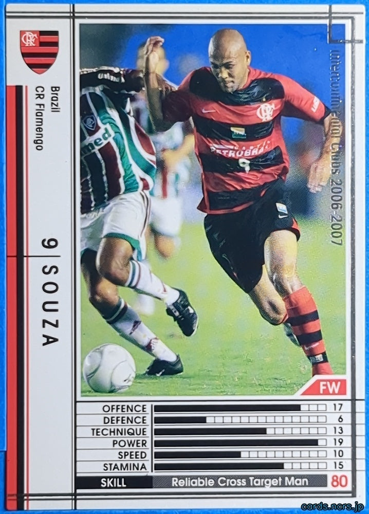 Panini WCCF Football WCCF/2006-2007-048/384 N SOUZA Trading Card NM
