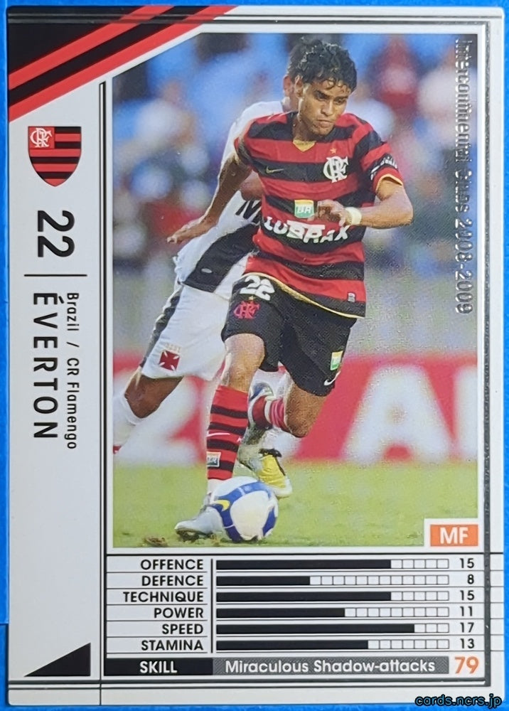 Panini WCCF Football WCCF/2008-2009-038/352 N Everton Trading Card NM