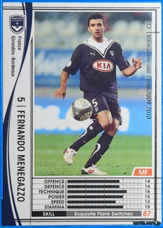 Panini WCCF Football WCCF/2009-2010-138/384 N FERNANDO MENEGAZZO Trading Card NM