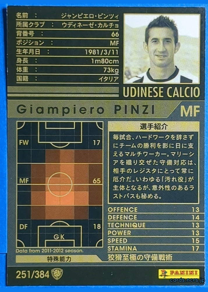 Panini WCCF Football WCCF/2011-2012-251/384 N Giampiero PINZI Trading Card EX