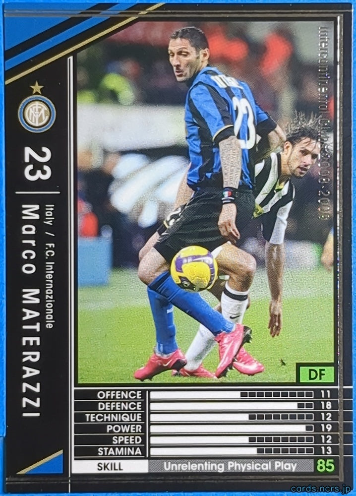 Panini WCCF Football WCCF/2008-2009-246/352 N Marco MATERAZZI Trading Card EX