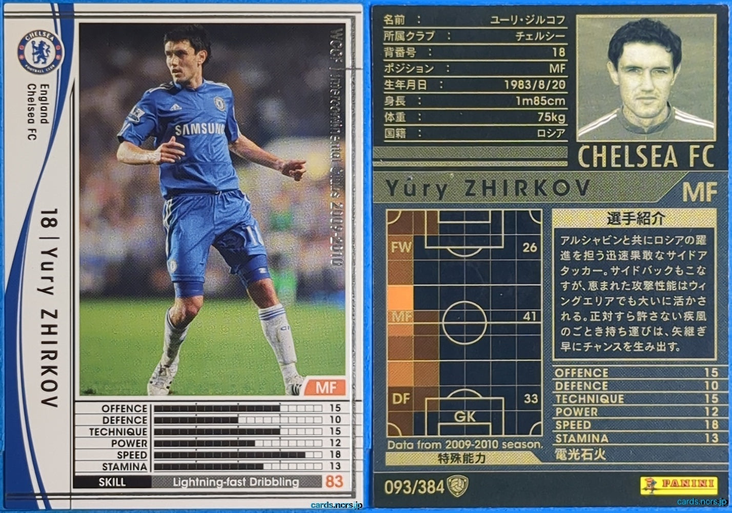 Panini WCCF Football WCCF/2009-2010-093/384 N Yury Zhirkov Trading Card NM