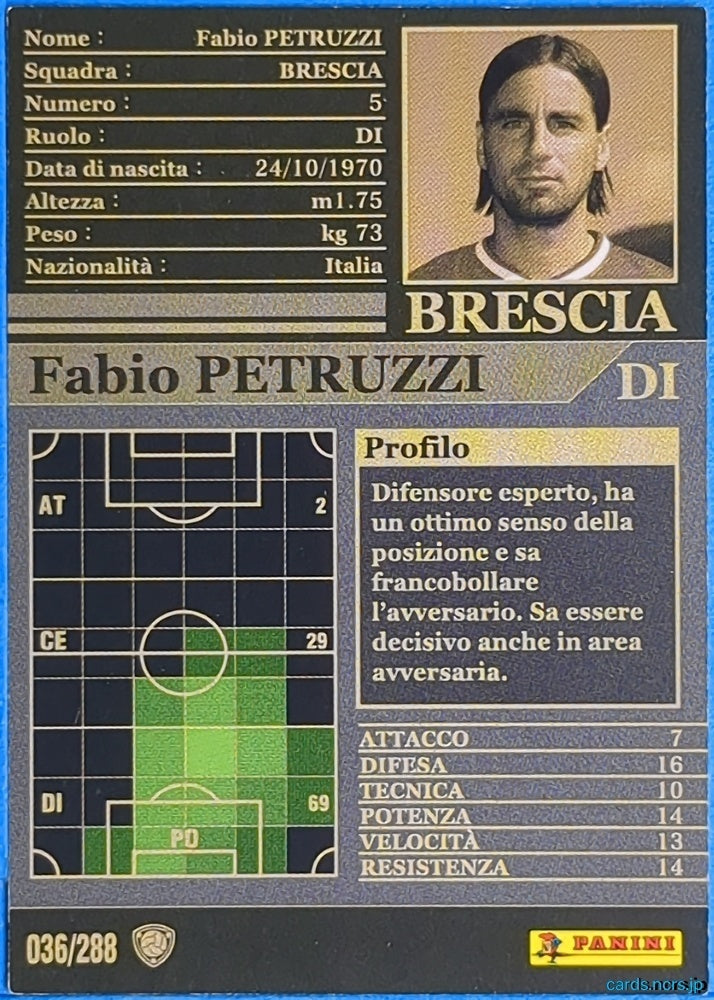 Panini WCCF Football WCCF/2002-2003-036/288EN N Fabio Petruzzi Trading Card NM
