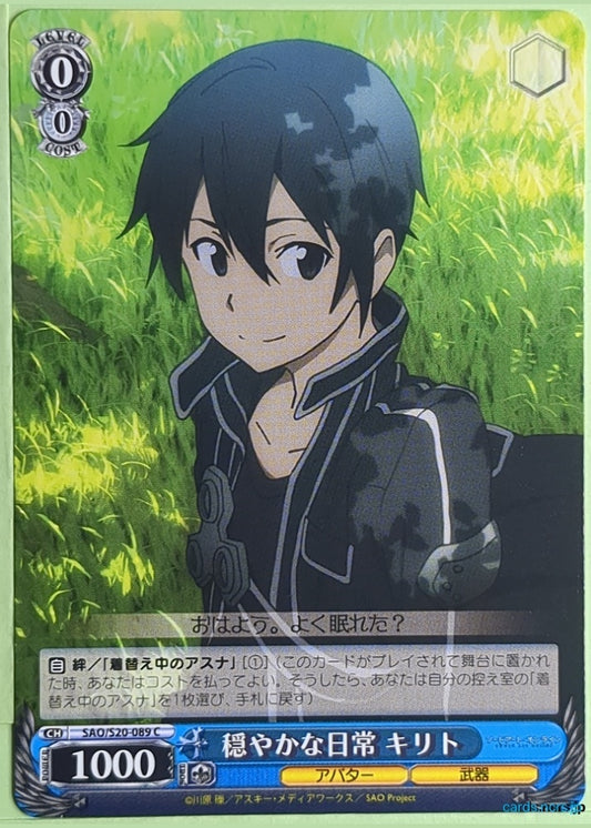 Weiss Schwarz Sword Art Online SAO/S20-089C C Kirito Trading Card NM