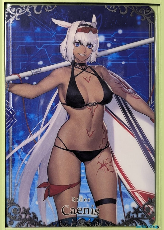 Fate/Grand Order Wafer Vol.11 Fate Grand Order FGW11/N04 N Caenis Trading Card NM