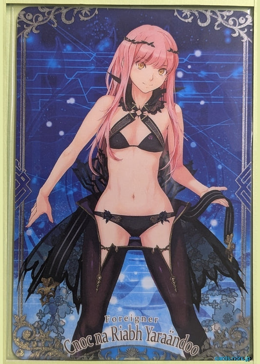 Fate/Grand Order Wafer Vol.13 Fate Grand Order FGW13/N07 N Cnoc na Riabh Yaraandöö Trading Card NM