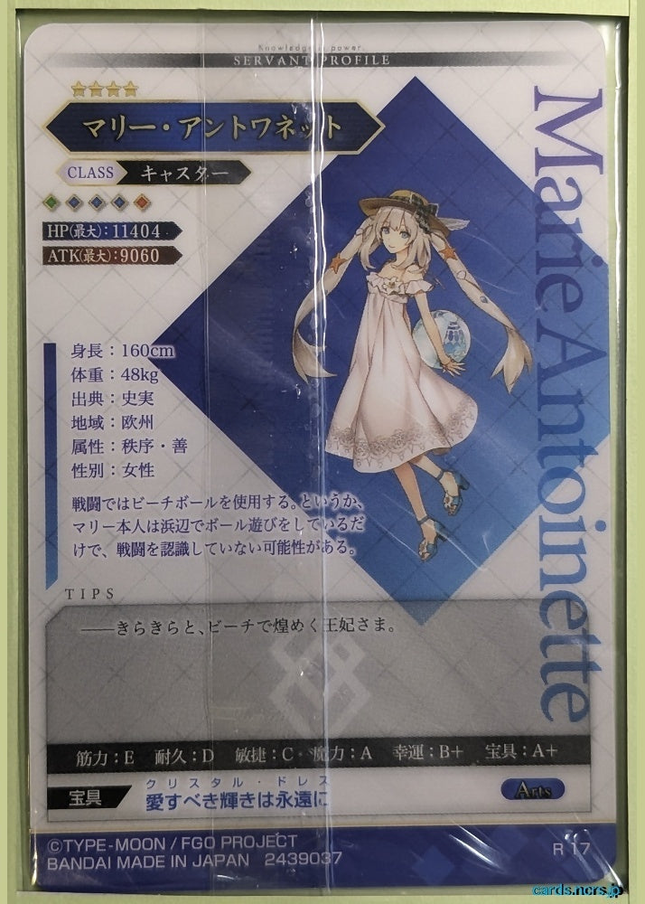 Fate/Grand Order Wafer Vol.04 Fate Grand Order FGW04/R17 R Marie Antoinette Trading Card NM