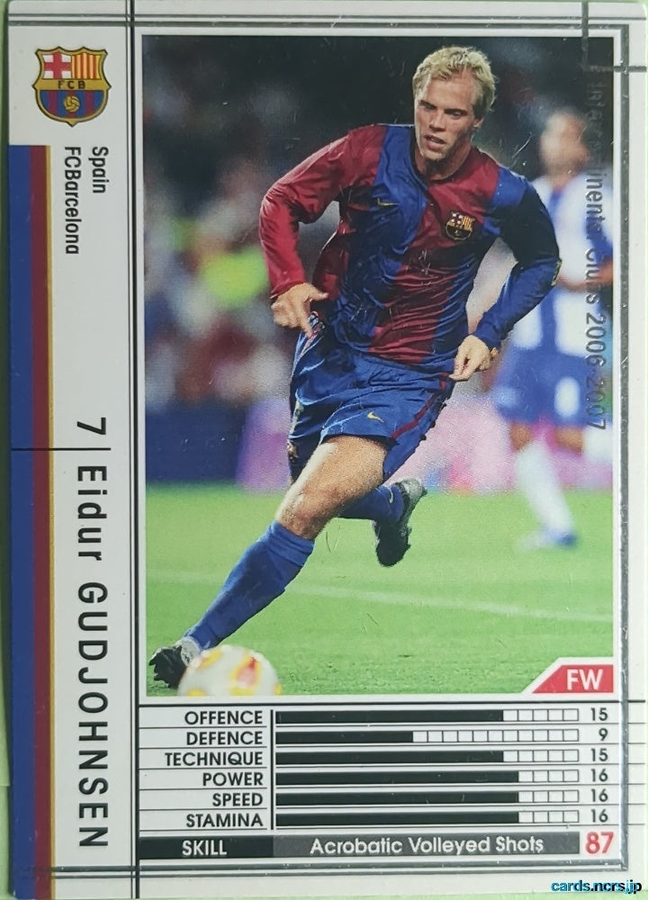 Panini WCCF Football WCCF/2006-2007-349/384 N Eidur GUDJOHNSEN Trading Card NM
