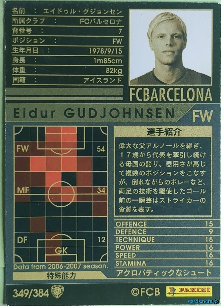 Panini WCCF Football WCCF/2006-2007-349/384 N Eidur GUDJOHNSEN Trading Card NM