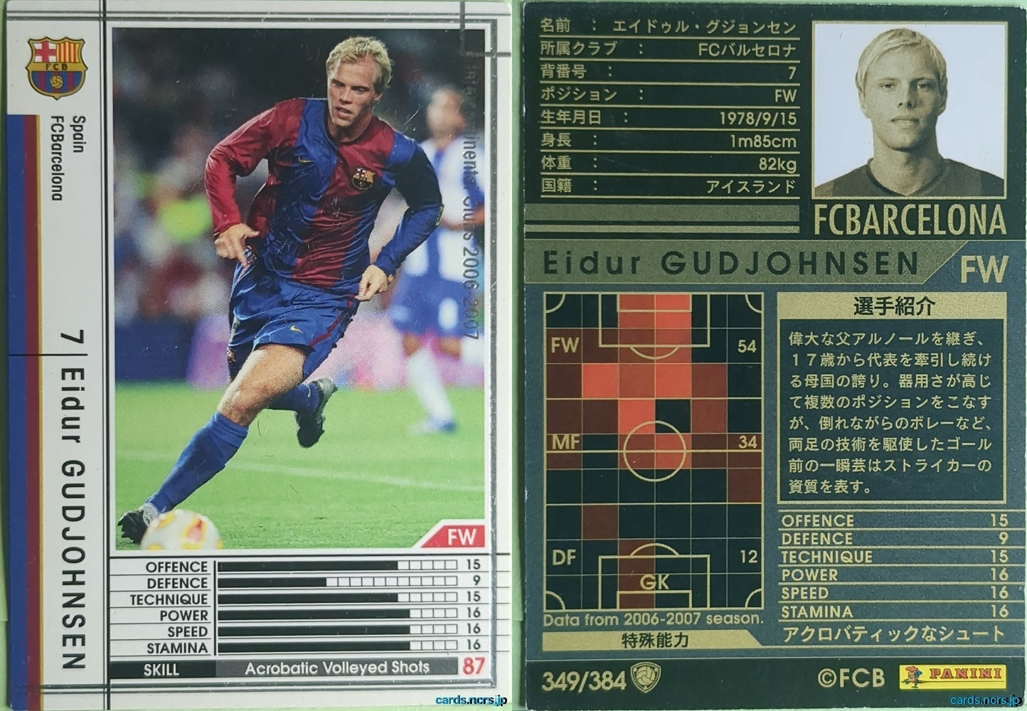 Panini WCCF Football WCCF/2006-2007-349/384 N Eidur GUDJOHNSEN Trading Card NM