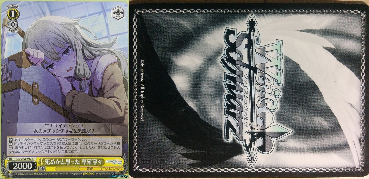 Weiss Schwarz Project Sekai Colorful Stage feat. Miku Hatsune PJS/S109-012C C Nene Kusanagi Trading Card NM