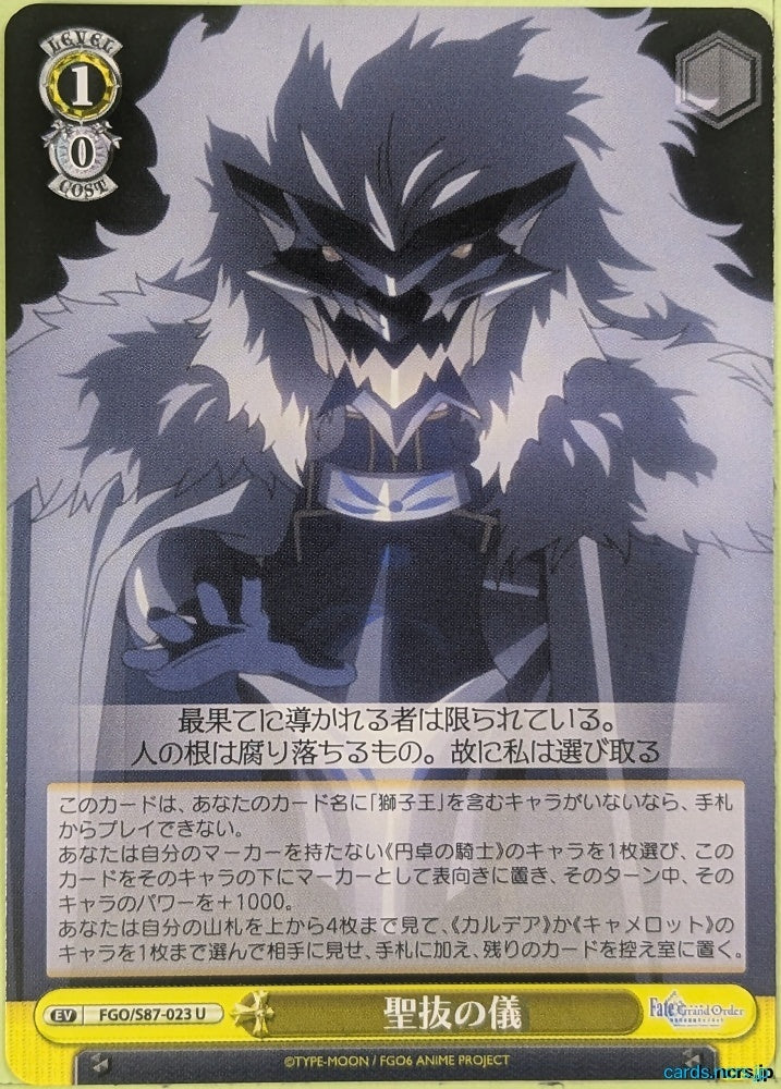 Weiss Schwarz Fate Grand Order FGO/S87-023U U Trading Card NM