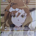 Weiss Schwarz Uma Musume UMA/W119-017C C Jungle Pocket Trading Card NM